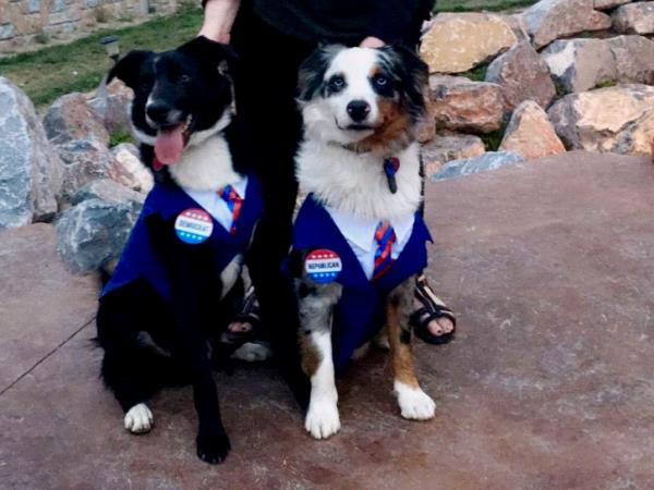 /Images/uploads/Humane Society of Utah/HSU2018/entries/3869thumb.jpg